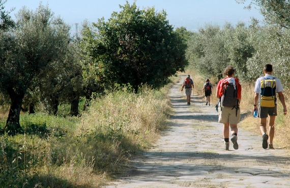 via francigena viterbo 570