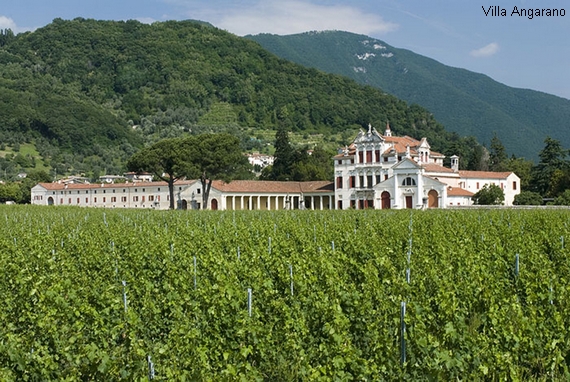 villa angarano 570