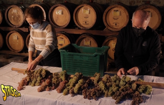 vin santo paesi paesaggi striscia la notizia itin 570