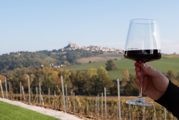 vino tartufo fiera san baudolino 570