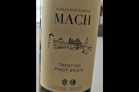 1.1 PINOT GRIGIO FONDAZIONE MACH itin 22 570