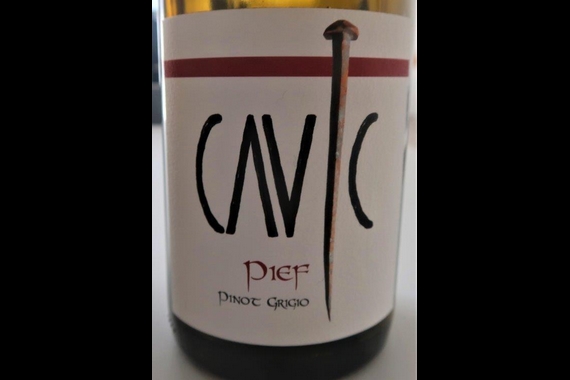 51 PINOT GRIGIO PIEF CAVIC itin 22 570