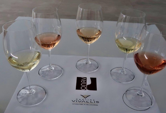 6.1 PINOT GRIGIO I COLORI itin 22 570