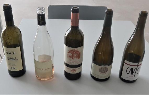 6. PINOT GRIGIO DEGUSTATI MACH BORGOGNONE MANICA CADALORA CAVIC itin 22 570