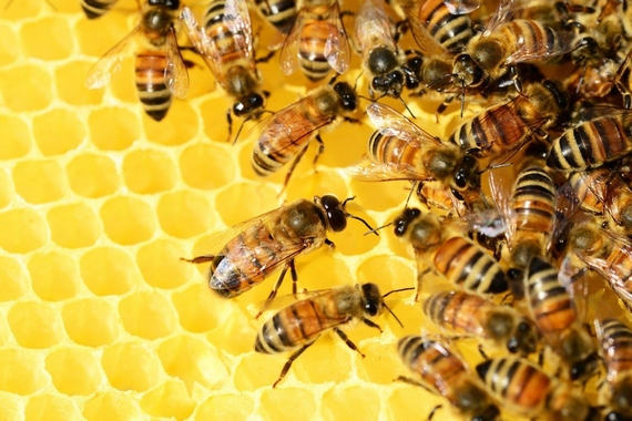 Api 1 crai 3bee itin 22 570