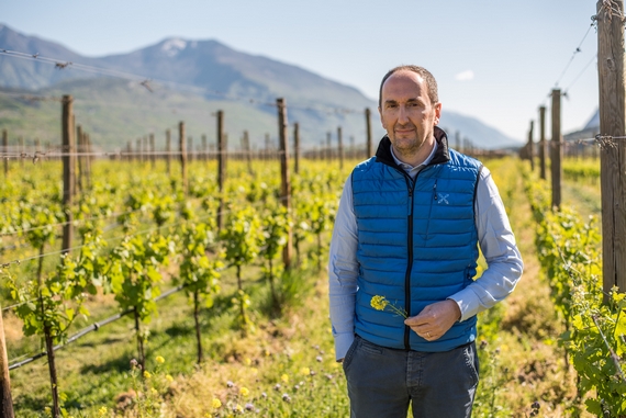 Cantina Toblino DG Carlo De Biasi 570