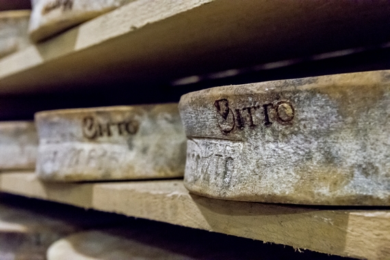 Consorzio Formaggi Bitto itin 22 570
