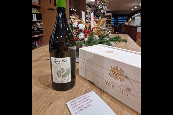 Divinoinvaso cantina toblino 570