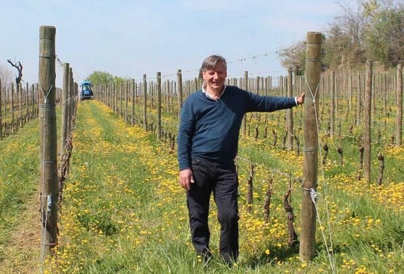 Franco Allegrini nei vigneti di proprietà a Fumane