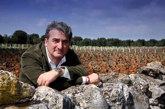 Gianfranco Fino nel vigneto di Manduria itin 2022 570