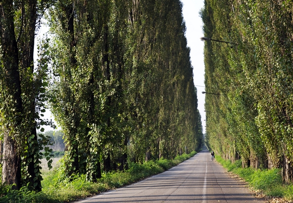 Gualtieri RE Strada argine Po credit Visit Emilia itin 22 570
