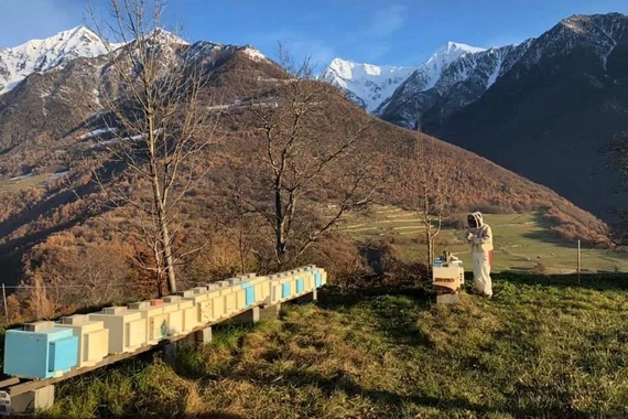 Le Api delle Alpi. Aosta crai 3bee itin 22 570