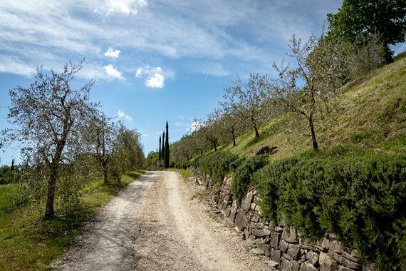 Passeggiata in Umbria itin 22 570