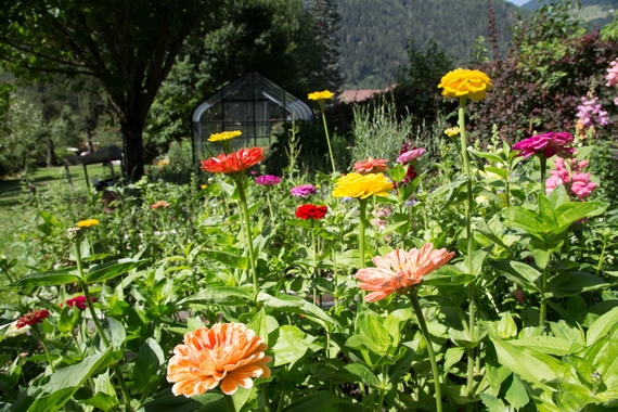 Romantik Hotel Stafler a Vipiteno BZ 2 itin 22 570