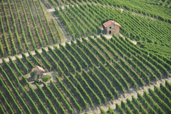 SARA VEZZA ALTA LANGA DOCG BRUT itin 3 570