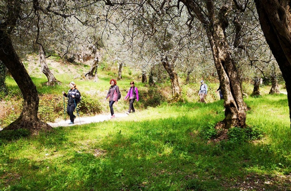 Trekking Sentiero Olivi itin 22 570
