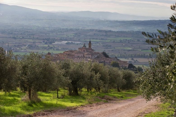 Trevi tra gli olivi itin 22 570