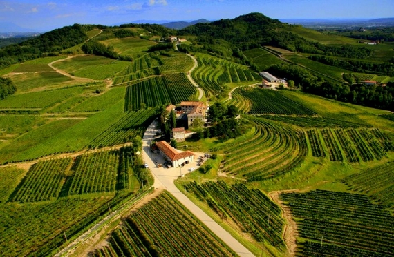 Vigneti Friuli casagrande itin 22 570