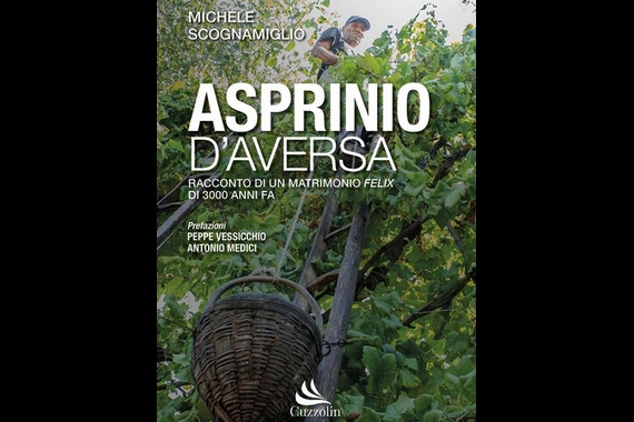 asprinio daversa scognamiglio itin 22 570