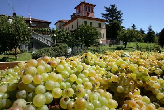 colli alessandria la scolca itin 22 570