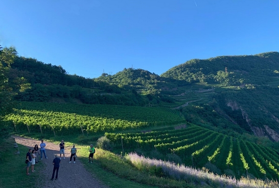 gemme di gusto strada vino sapori trentino 22 1 itin 570