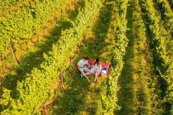 gemme di gusto strada vino sapori trentino 22 6 itin 570