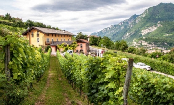 gemme di gusto strada vino sapori trentino 22 9 itin 570
