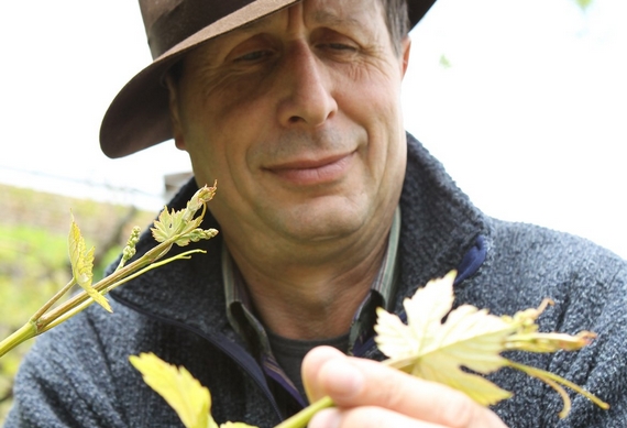 gianpaolo girardi vigneto itin 570