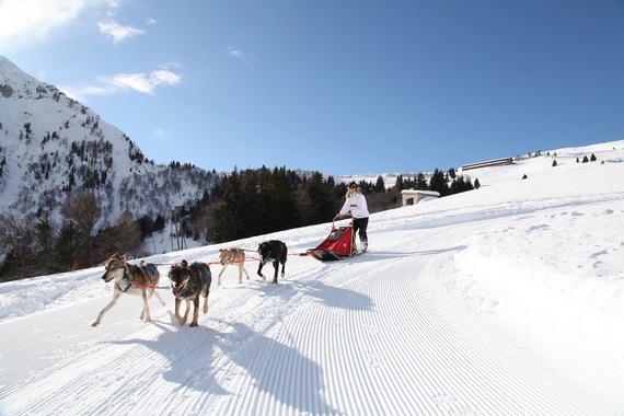 maniva sleddog scuola escursione slitta itin 570