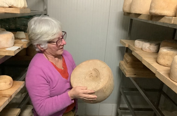 maria procopio formaggi calabria itin 570 ok