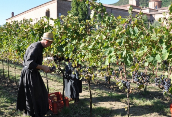 monaci vigneti itin 570