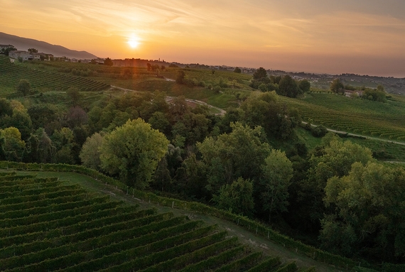 paesaggio la marca colline itin 22 570