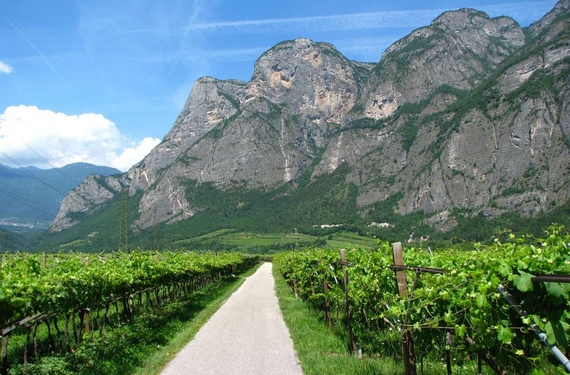 piana rotaliana vigneti itin 22 570