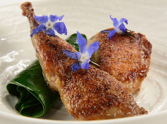 quaglia e le sue erbette materia bistrot itin 22 570