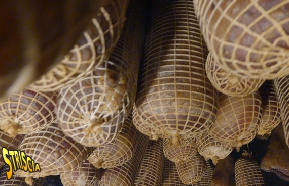 scapocollata davide rampello striscia itin 570