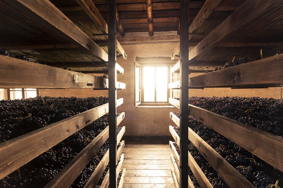 tenuta serego alighieri uva itin 22 570