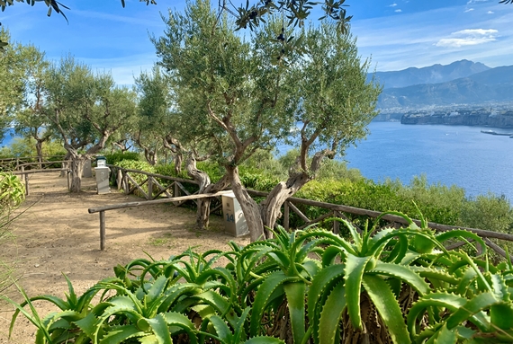 vacanze outdoor petfriendly Campania itin 22 570