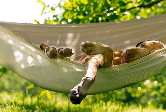 vacanze outdoor petfriendly itin 22 570