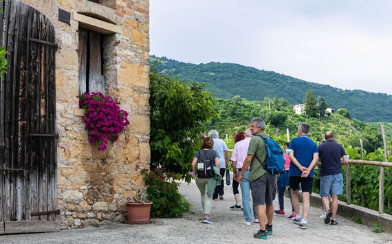 valdobbiadene saccol evento camminare nelle vigne itin 22 570
