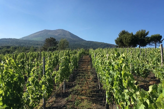 vesuvio vigneti oronero itin 22 570