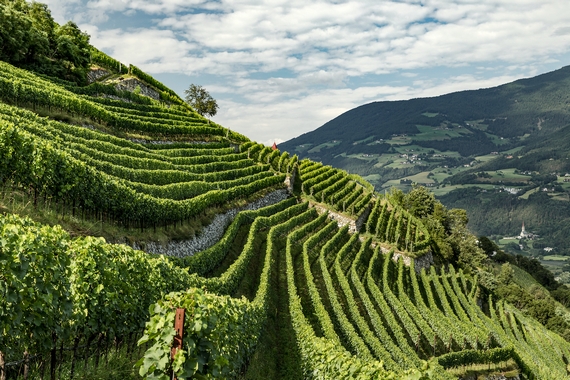 vitigni alto adige itin 22 570