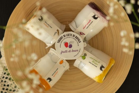 yogurt collage sn savatore itin 22 570