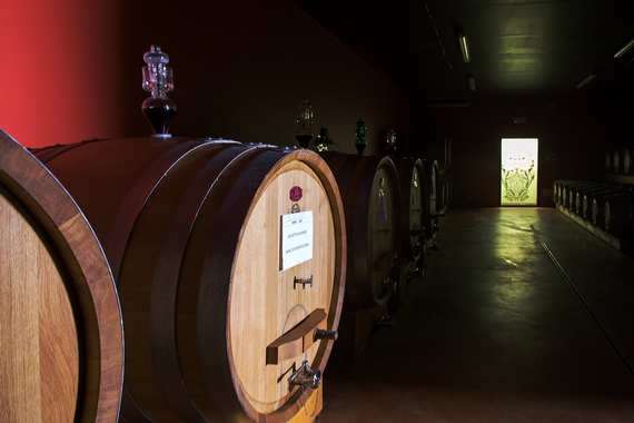 06 Podere Casanova estate 23