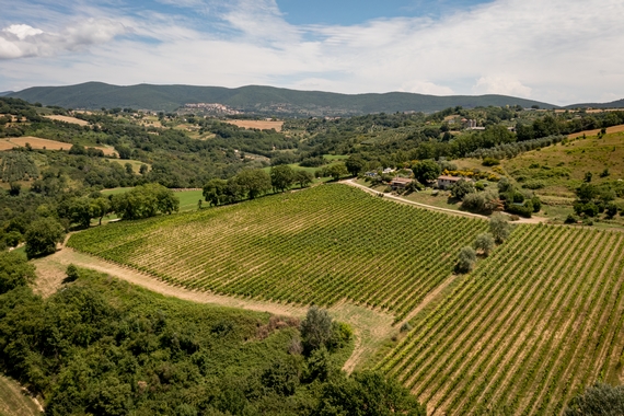 1128DJI 0029 AMERINO 23 570