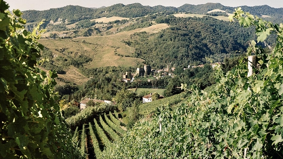 Azienda Nicolucci sangiovese casagrande 1 23 570