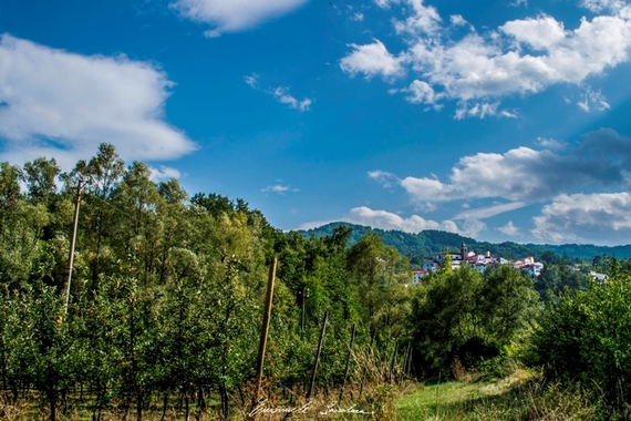 Castel del Giudice Agricoltura Credit Emanuele Scocchera