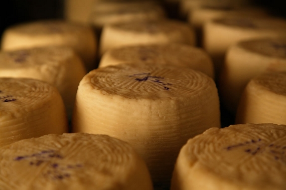 Formaggio Credits TPT vetrina toscana