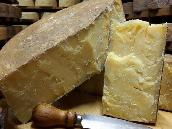 Formaggio Nostrano DOP di Valle Trompia 23 570