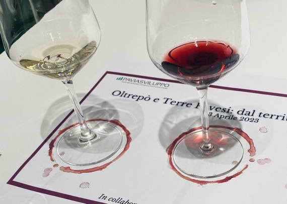 Foto degustazione oltrepo vinitaly 23 ids