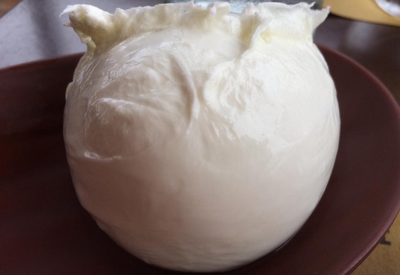 La Dispensa San Salvatore mozzarella di bufala 23